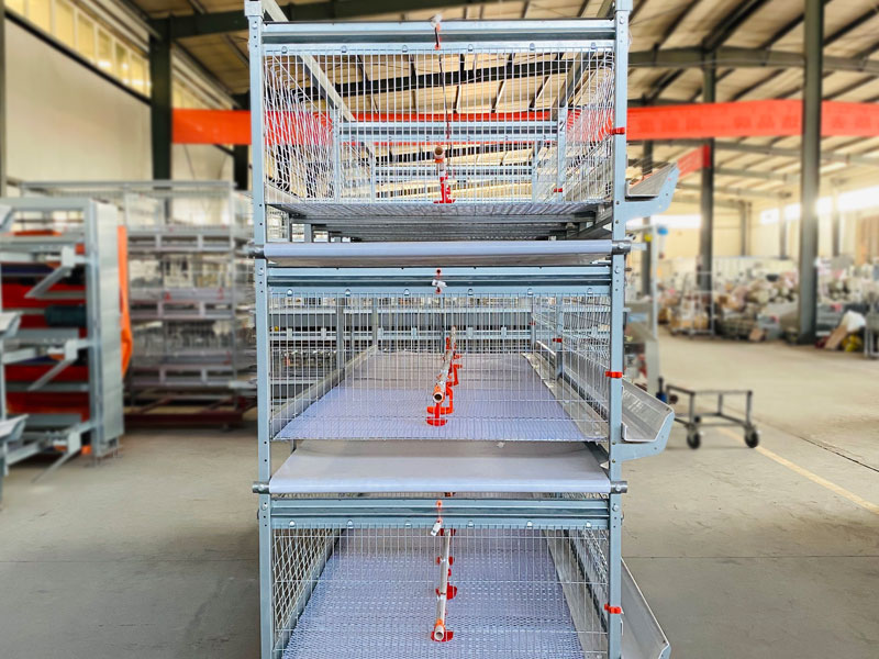 Broiler Cages For Sale Broiler Cage With Automatic Harvesting System